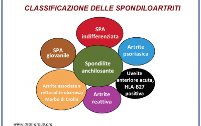 SPONDILOARTRITI: INQUADRAMENTO CLASSIFICATIVO